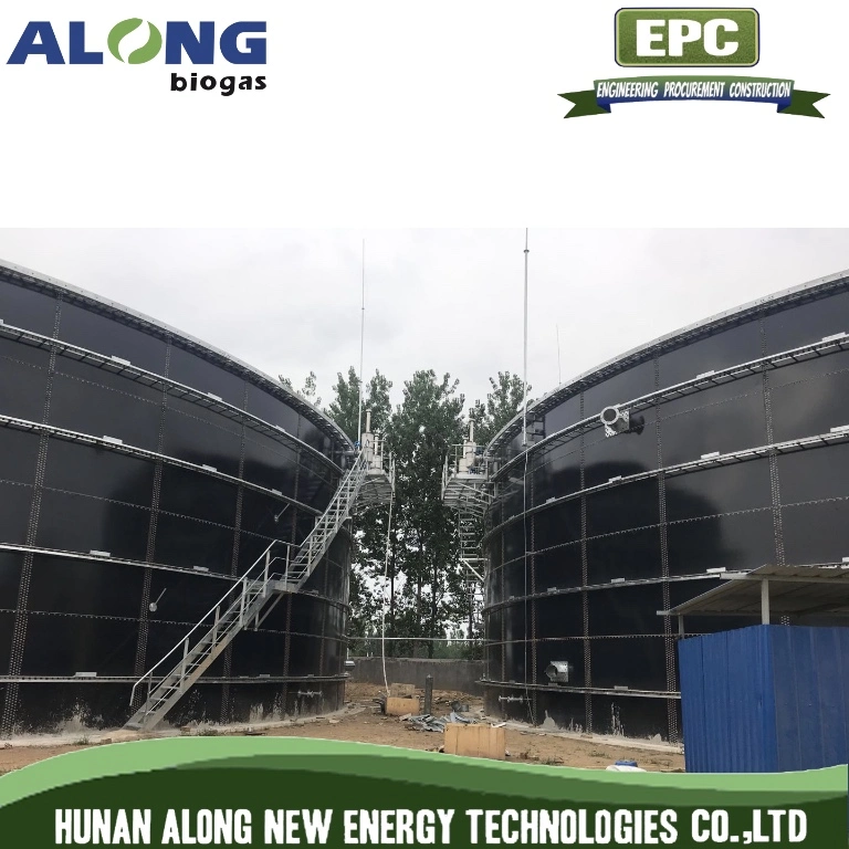 Cstr Reactor Biogas Anaerobic Digester/Fermenter/Producer Power Plant