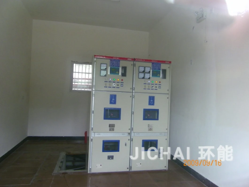 Farm Animal Waste Biogas Generator Power Plant