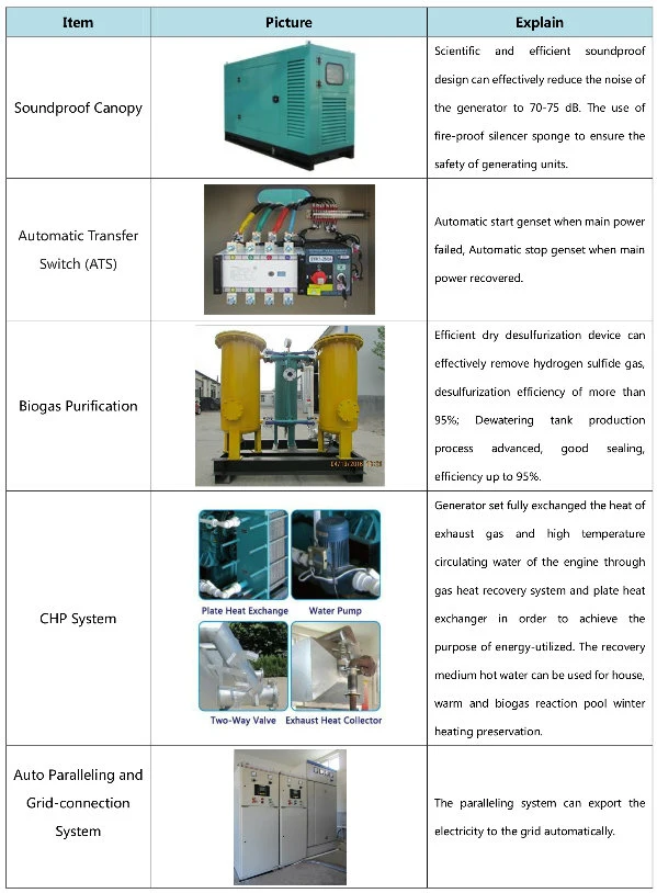 Bio Gas Generator Set/Natural Gas Generator Set/Biomass Gas Generator Set