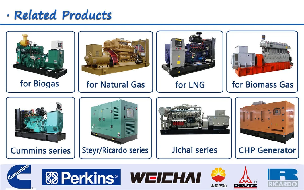 Man Weichai Cummins Engine Methane Biogas Natural Gas LPG Power Generator